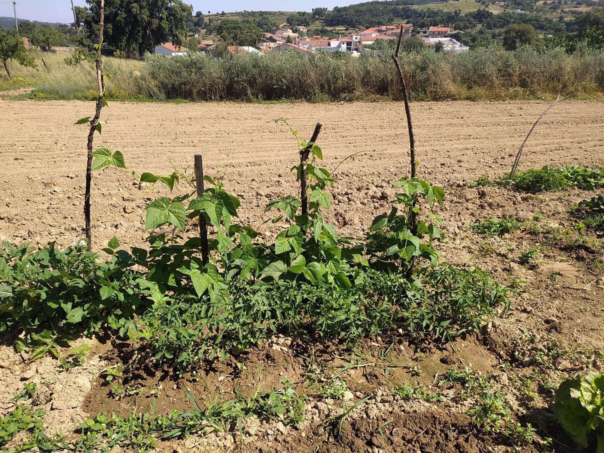 Vivenda Das Eiras Vale de Porco ภายนอก รูปภาพ